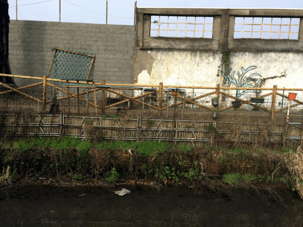 2014-02-09_pulizia-roggia_01