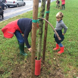 APS 2014 10 12 lavori_4720lr