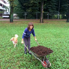 APS 2014 10 12 lavori_4723lr