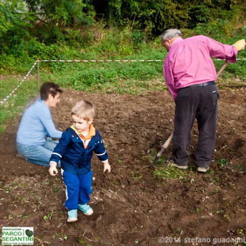 APSge 2014 autunno 1822lr