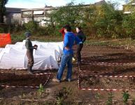 Oggi: pochi ma buoni, e più che sufficienti