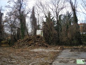 APS oasincittà_2015-01-18  019lr