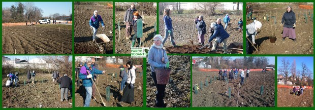 Tutti al lavoro per le prime cento piante