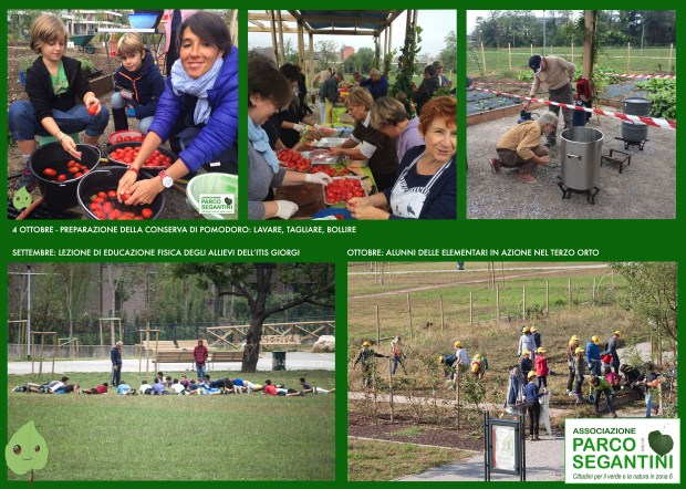 montaggio conserva e attività x blog lr