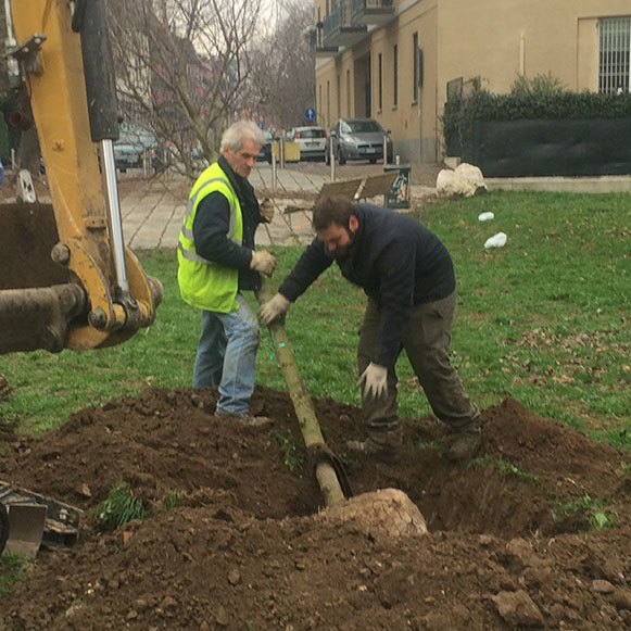 APS 2015 alberi parco 8004lr