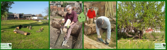 salice gelso fotomontaggio lr