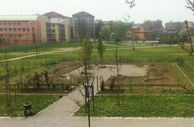 Terreno preparato per terzo orto