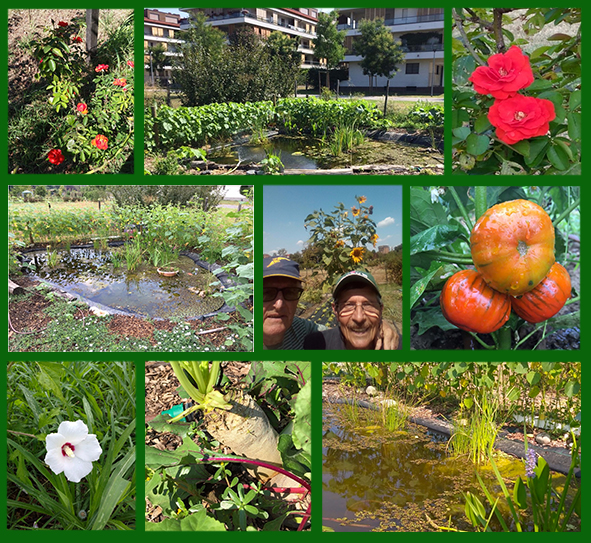 APS fine estate 2018 orti