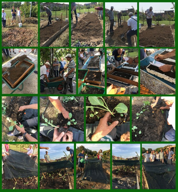 Orticoltura Bionintensiva montaggio