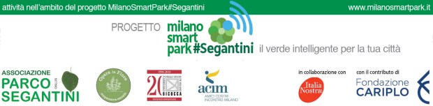 MSP#S piede x blog lr